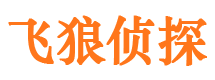 镇原飞狼私家侦探公司